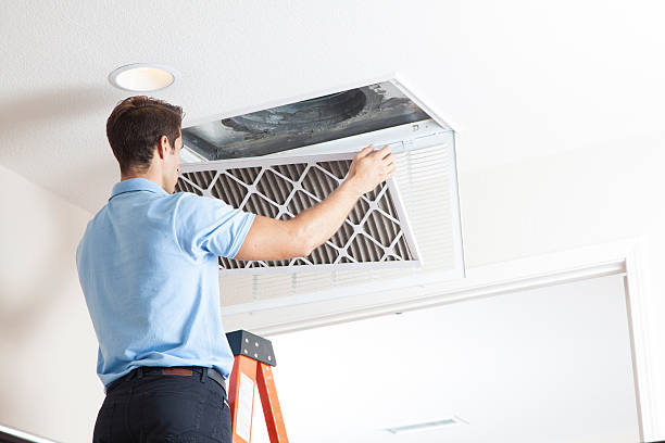 Best Air quality test  in Hargill, TX